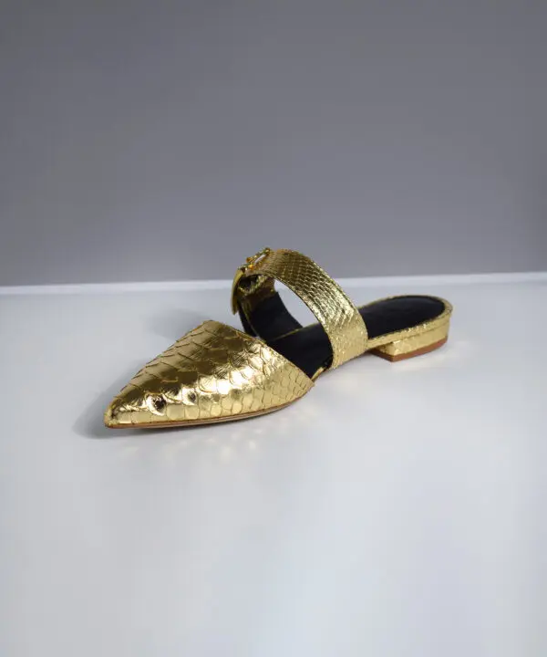 Alichi Mules - Image 2