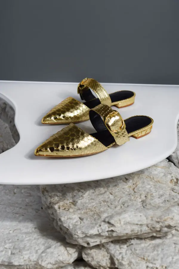 Alichi Mules - Image 3