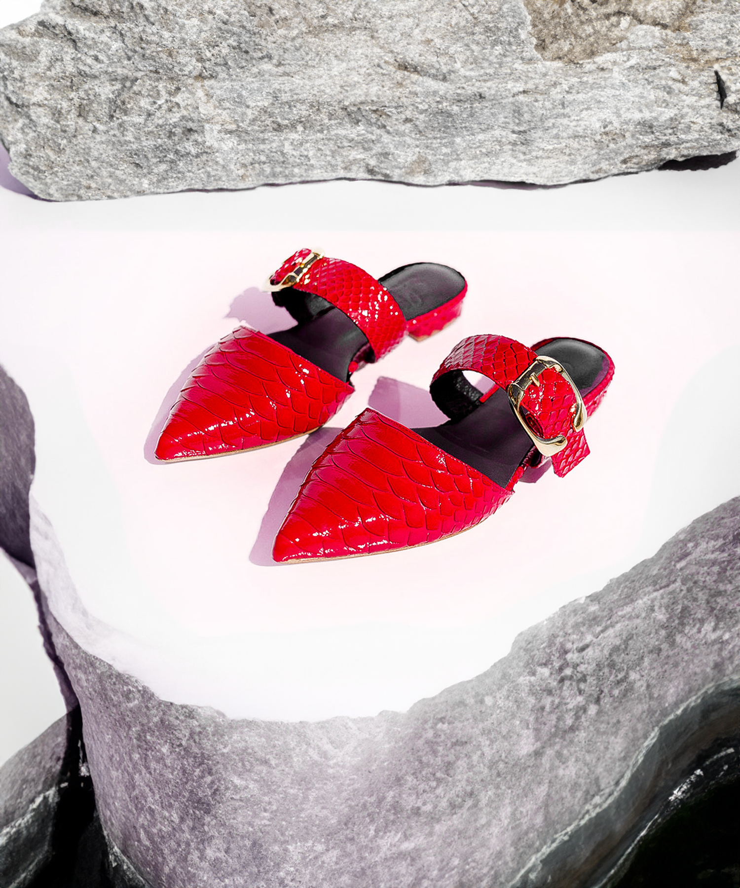 Adel Mules - Image 3